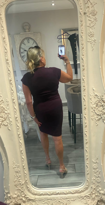 Cindy dress with full zip stretch military style gold button detail