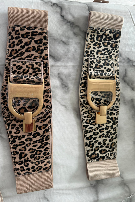 Marcia leopard Elasticated belt